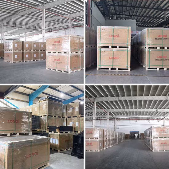 Longi recién llegado Himo